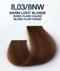 36 - 8.03/8NW